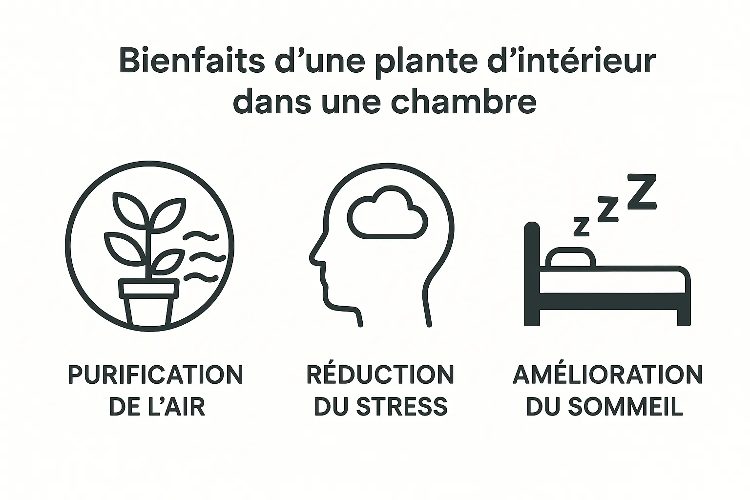 plantes chambre à coucher danger